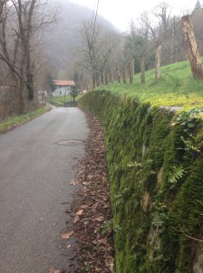 Camino de Santiago St Jean pied de port