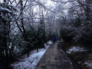 snowy path bear zubiri on the camino de santiago