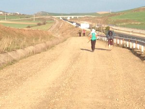 busy camino