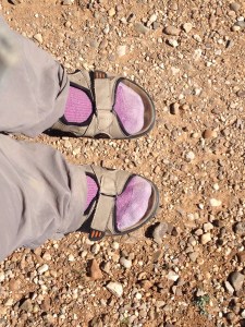 socks and. sandals on the camino de santiago socks and sandals on the camino de santiago