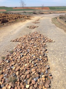 camino arrows camino arrows