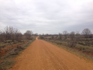 camino de santiago camino de santiago