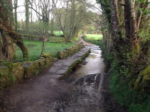 camino de santiago in galicia 